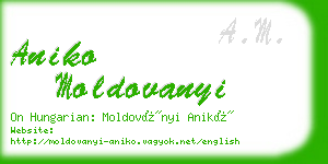 aniko moldovanyi business card